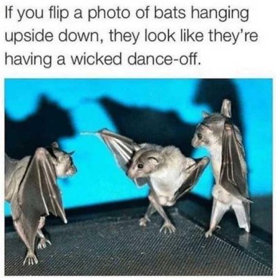 1759825286338.jpeg