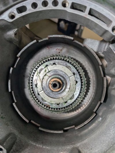 Dis-8.jpg