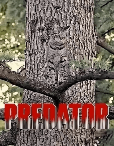 1759992681984.png