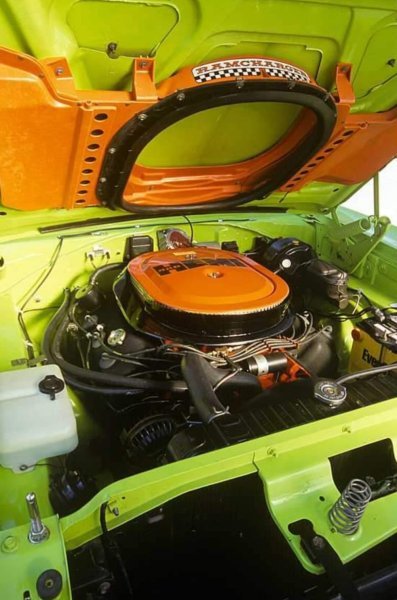 359829349_788926852717602_708632791248933355_n (1).jpg