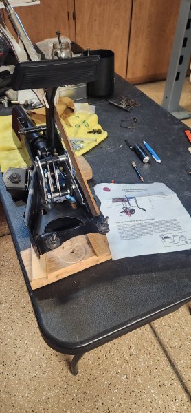 20251009_104859.jpg