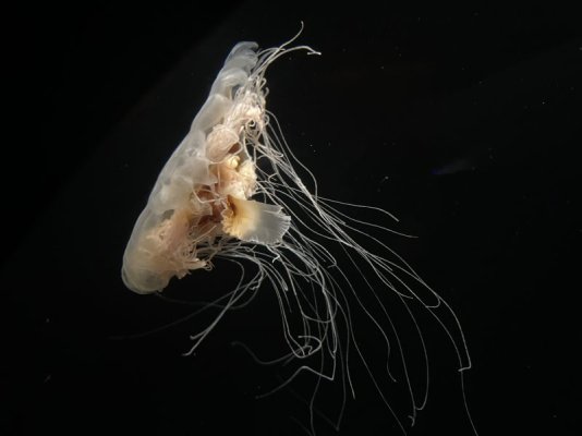 IMG_6332.jpeg