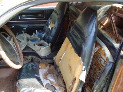 Car Seat.jpg Car Seat.jpg