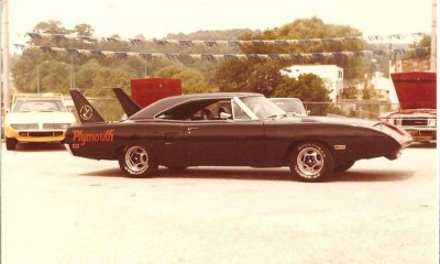 black superbird (2).jpg