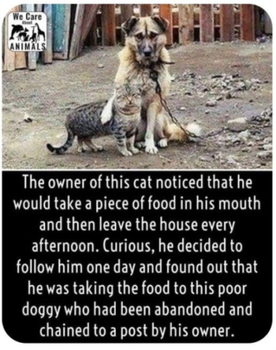 1760459781857.png