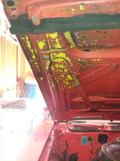 20180616_172726.jpg