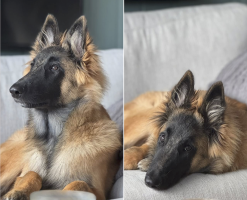 Screenshot 2025-10-11 at 7.32.12 PM.png