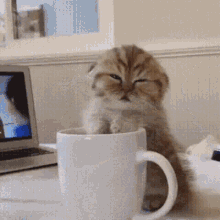 86ddcd1efdc81f4a41c1484d72dc5124.gif