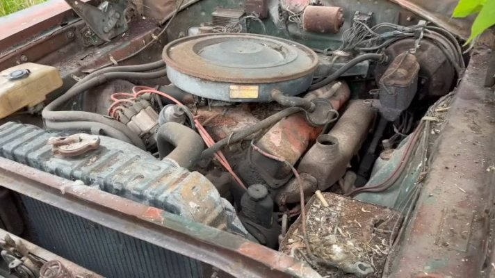 abandoned-fury-1970-plymouth-road-runner-383-4-speed-found-on-a-canadian-island_3.jpg