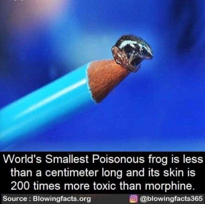 1760761028982.png