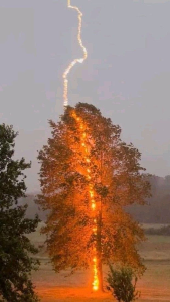 1760761841002.png
