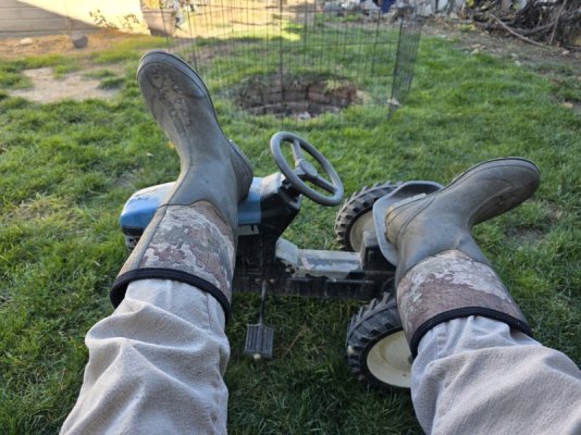 20251018_154733.jpg 20251018_154733.jpg