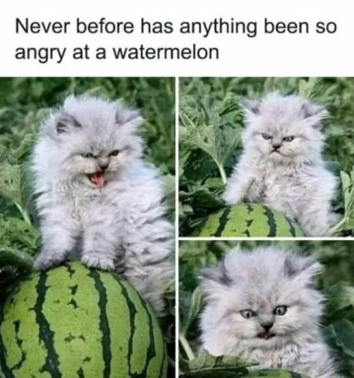 1760977973772.png