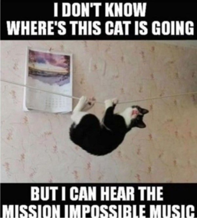 1760978000358.png