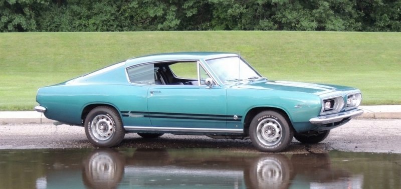 Fish out of water.jpg