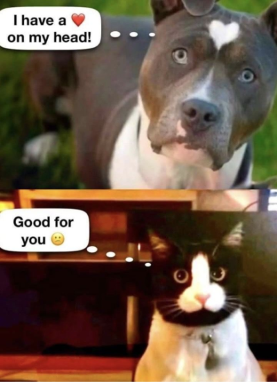 1761461416766.png