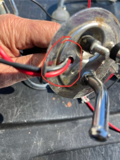 IMG_7757.jpeg IMG_7757.jpeg