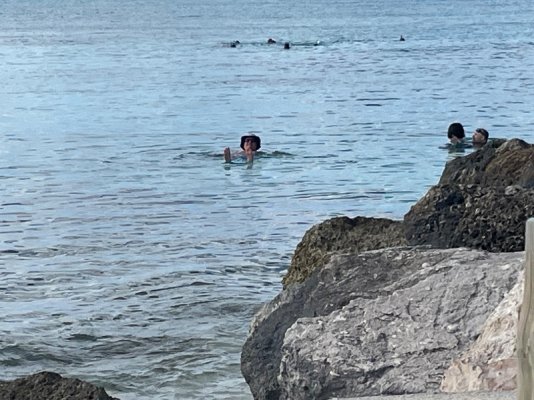 IMG_6769.jpeg IMG_6769.jpeg