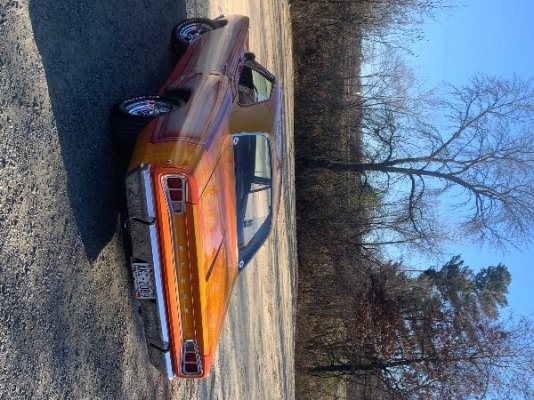 IMG_7309.jpeg IMG_7309.jpeg