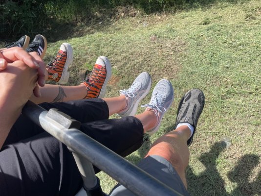 IMG_7462.jpeg IMG_7462.jpeg