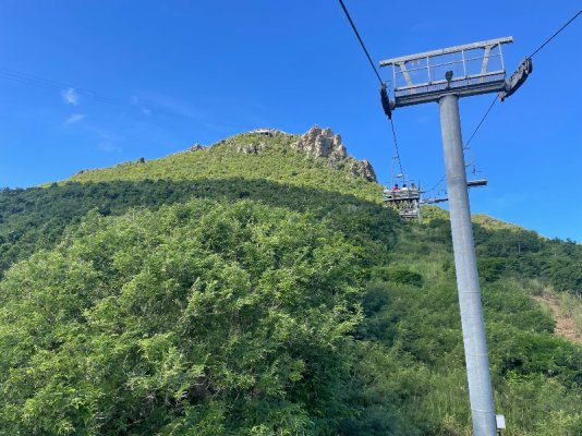 IMG_7463.jpeg IMG_7463.jpeg