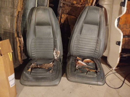 IMG_20241229_101731913 (1).jpg