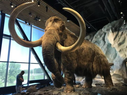 Screenshot 2025-02-12 at 6.50.00 PM.png