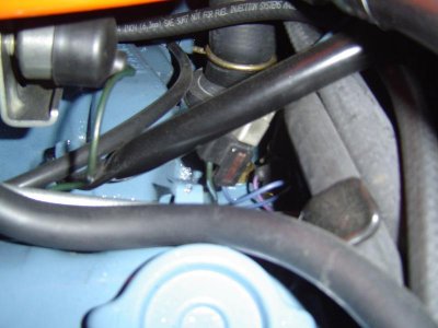 DSC04703.jpg DSC04703.jpg