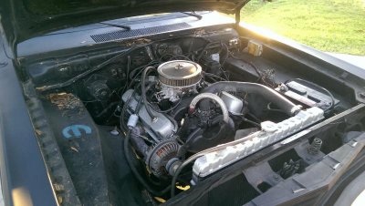 IMAG0768_BURST001.jpg IMAG0768_BURST001.jpg