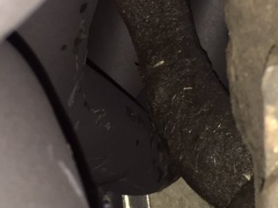 image1.JPG image1.JPG