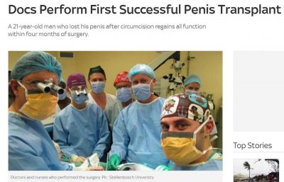 Penis.jpg