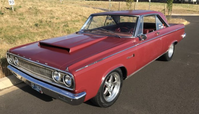 IMG_3484 (Large).jpg