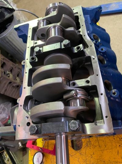 timmy3.jpg timmy3.jpg