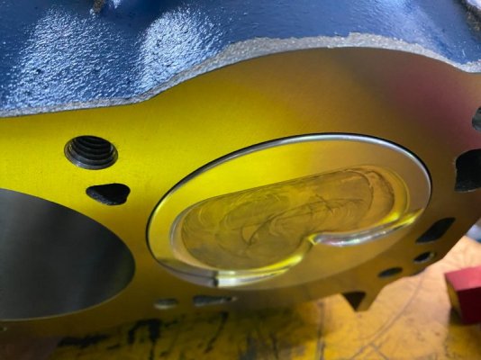 timmy4.jpg timmy4.jpg