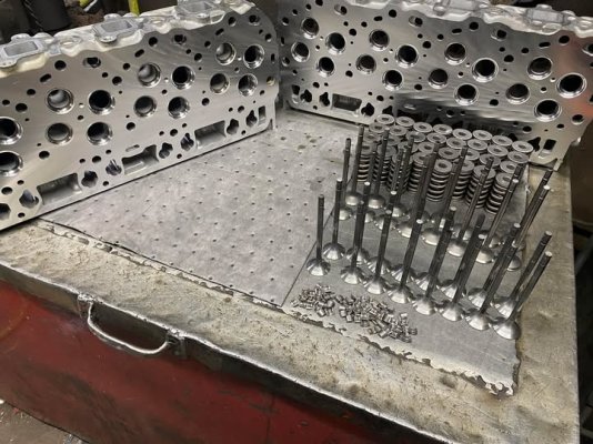 timmy6.jpg timmy6.jpg