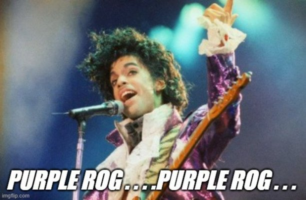 Prince Purple Rog.jpg