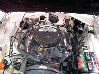 383 Engine (Large).jpg
