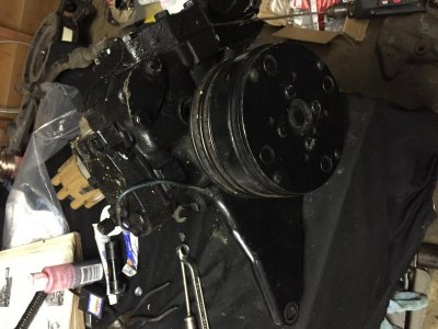 IMG_0305[1].jpg