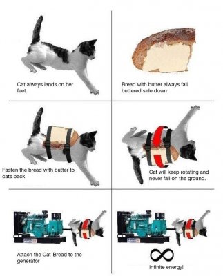 Infinite+energy+cats+bread+eekwillz+energy_f33076_3091222.jpg