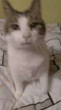 472bae36a3985ddbc91c77417a983a85c7d9a619.gif 472bae36a3985ddbc91c77417a983a85c7d9a619.gif