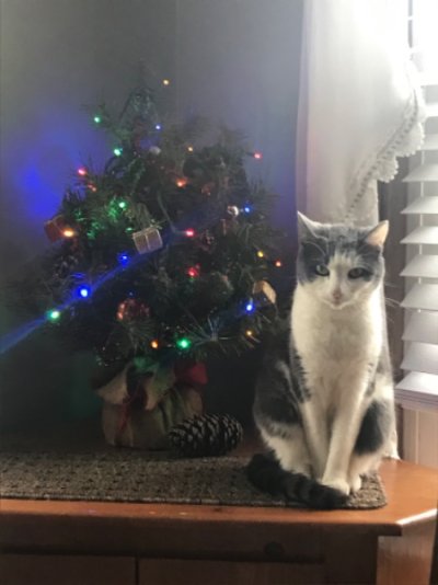 A000F318-8E68-4196-9867-40BCE49578CF.jpeg A000F318-8E68-4196-9867-40BCE49578CF.jpeg