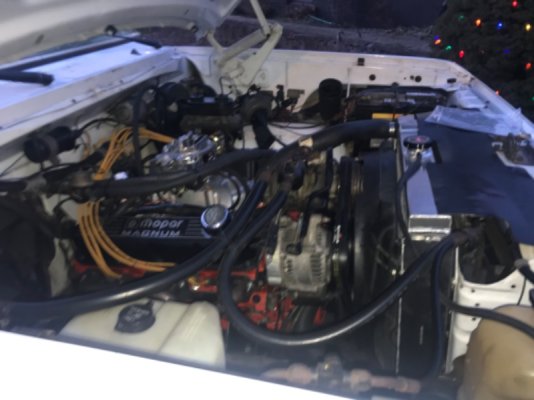 BB4FD31B-08A4-42F6-84B8-C43FE2225C4A.jpeg BB4FD31B-08A4-42F6-84B8-C43FE2225C4A.jpeg