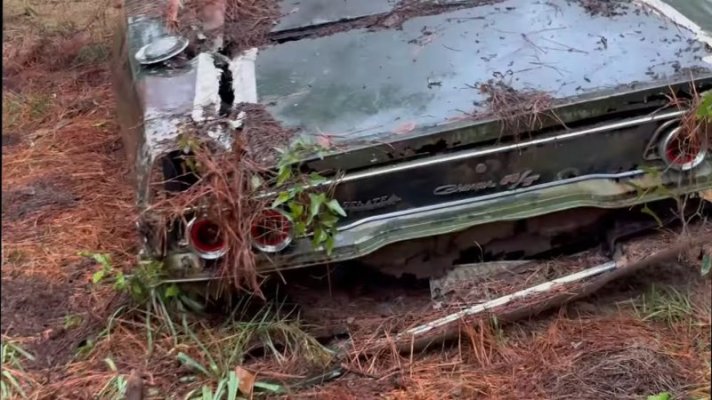 try-not-to-cry-1968-charger-rot-under-pines-r-t-badge-barely-hangs-on-ok-cry-a-lot_9.jpg