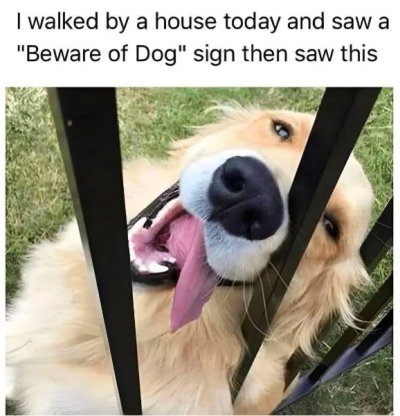 Beware of Dog.jpg