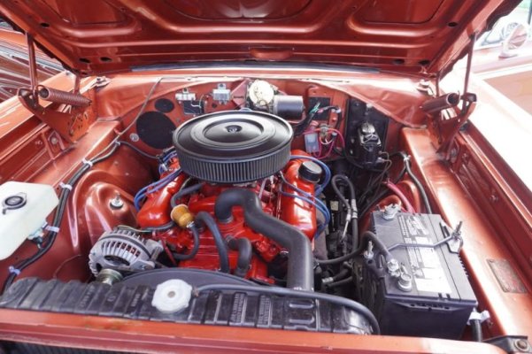 1967 Belvedere II10.jpg