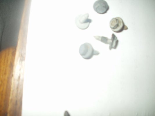 screws #2.JPG