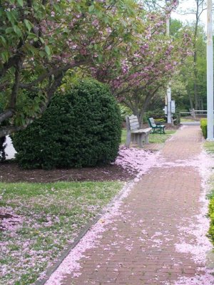 100_2274.jpg