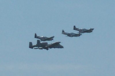 100_2136 Zoom.jpg