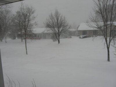 IMG_3378.JPG