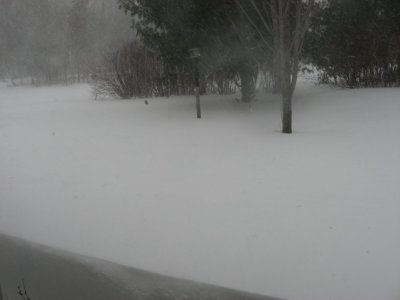 IMG_3380.JPG
